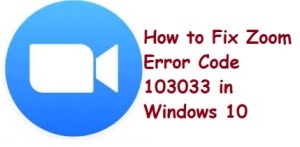 Zoom Error Code 103033