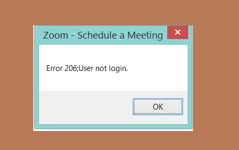 Zoom Error Code 206