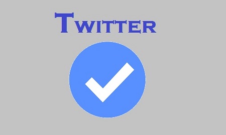Twitter Verification Process for Blue Tick