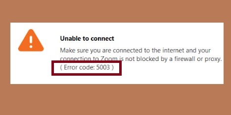 Zoom Error Code 5003