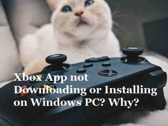 Xbox App not Downloading or Installing on Windows PC Why
