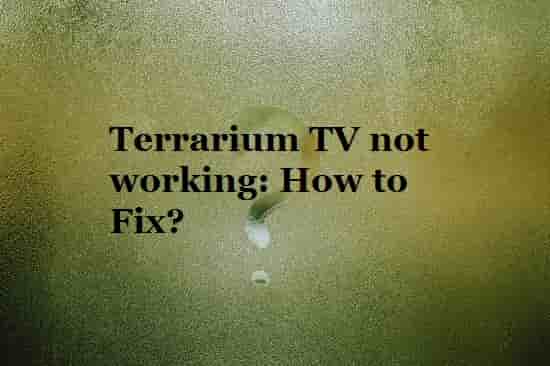 Terrarium TV not working