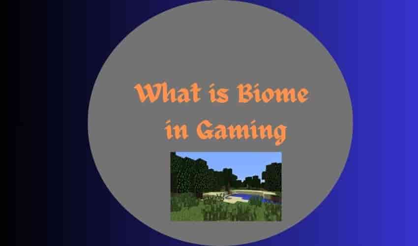 What is Biome in Gaming, and which Online game is it related to
