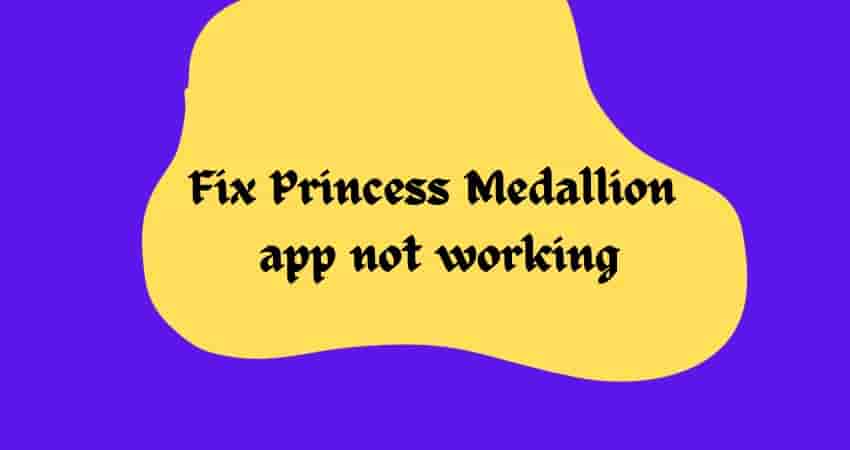 Princess Medallion app not working