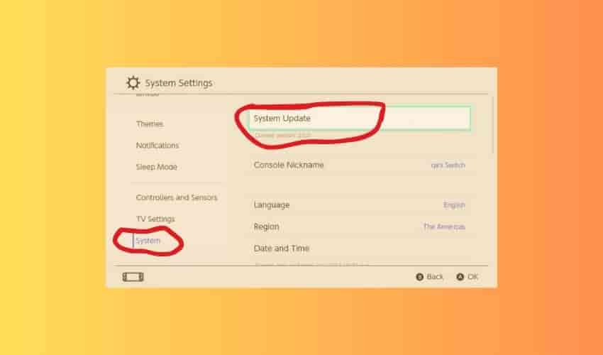 Update the system software Nintendo switch
