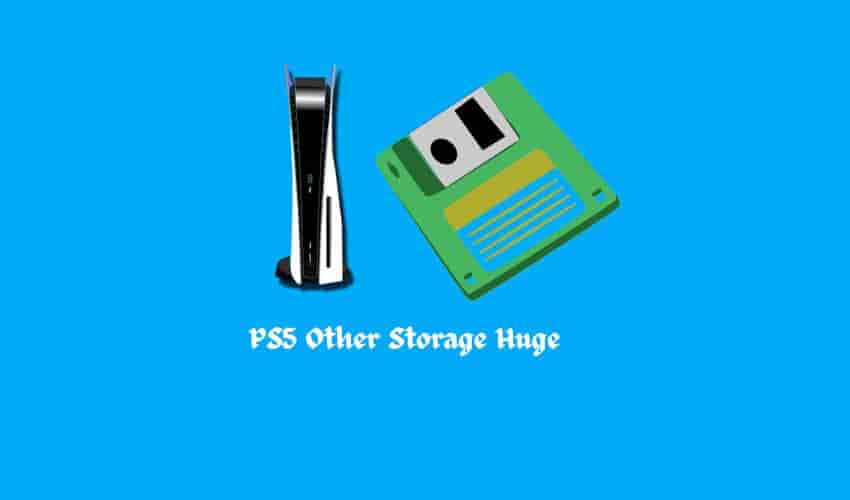 PS5 Other Storage Huge