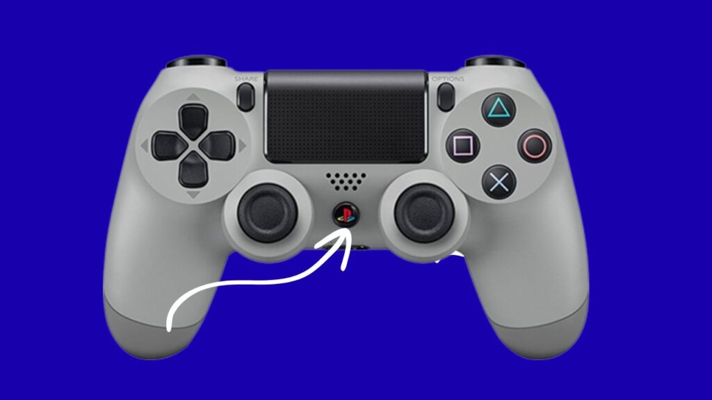 Rebeet PS4 Using the Controller