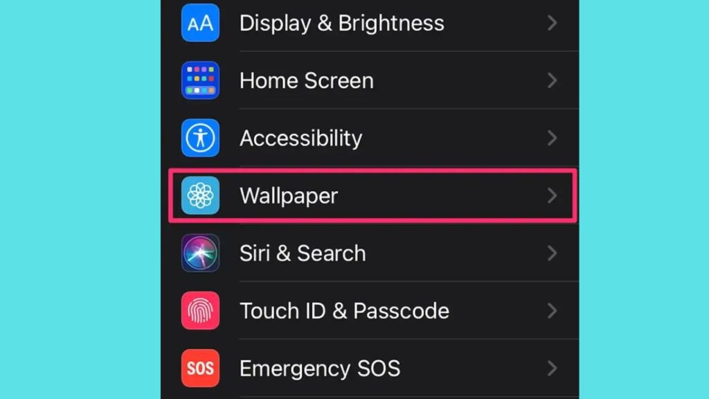 Enable the Show Wallpaper option in iPhone settings