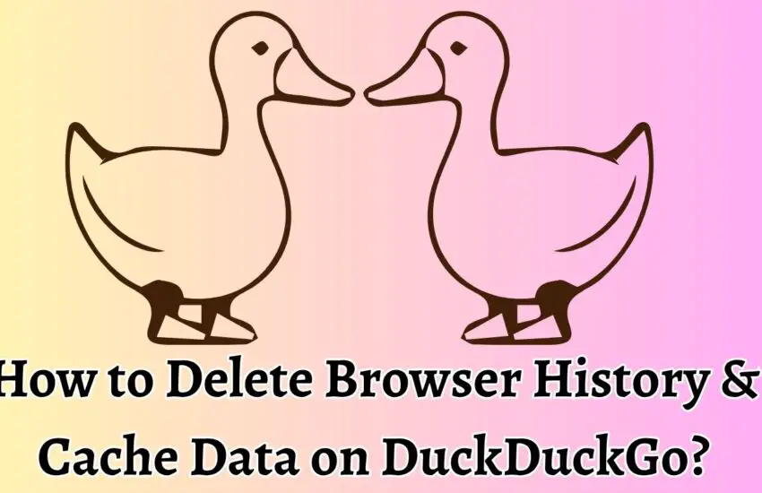 How to Delete Browser History & Cache Data on DuckDuckGo