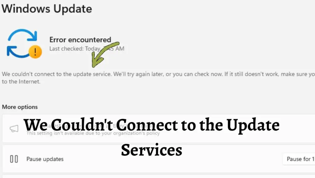 We Couldn't Connect to the Update Services