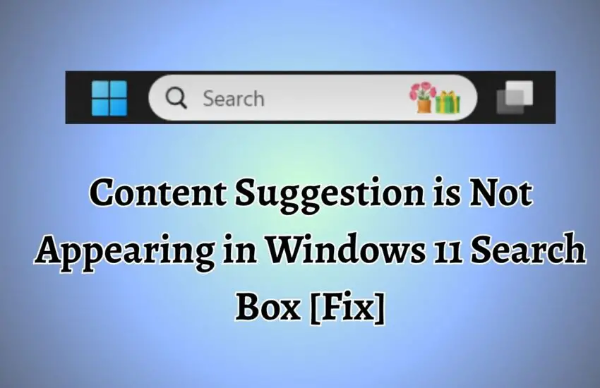 Content Suggestion is Not Appearing in Windows 11 Search Box