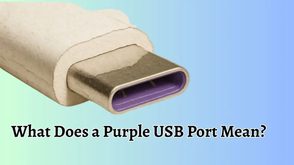 What Does a Purple USB Port Mean