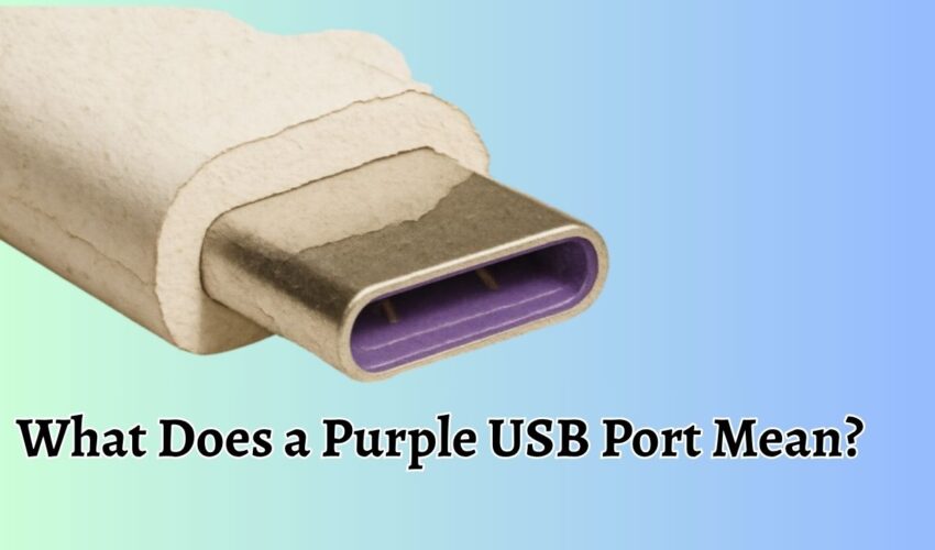 What Does a Purple USB Port Mean